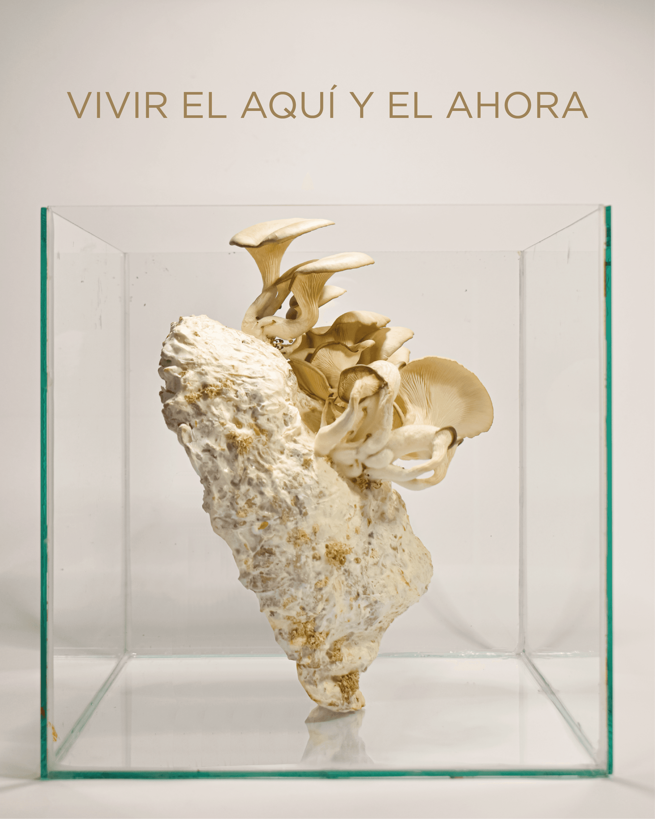 Obra de Horacio Flores: pieza 3 de la serie